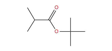 tert-Butyl isobutyrate